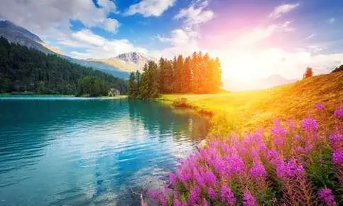 Mountain lake with vibrant wildflowers