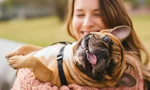 Woman holding happy French bulldog