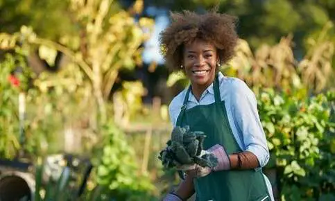 Person harvesting vegetables in the sun