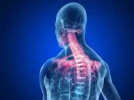 Anatomical diagram of cervical spine