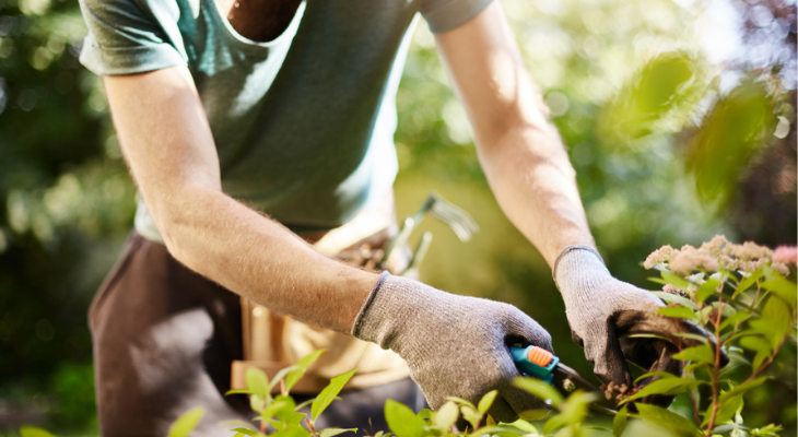 Gardening with shears and gloves outdoors