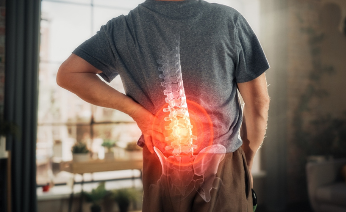 Spine highlighted in pain area
