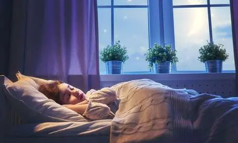 Woman sleeping peacefully by window