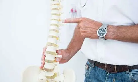 Demonstrating human spine anatomy
