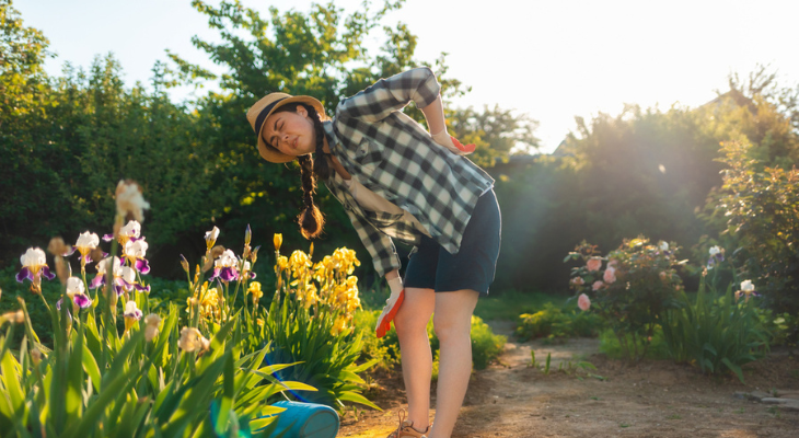 Sunlit garden scene with colorful flowers.