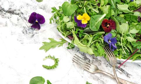 Fresh salad with colorful edible flowers
