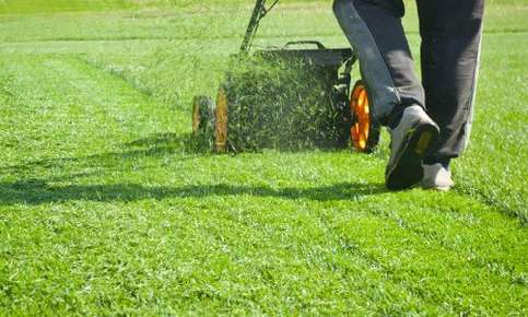 Lawn being mowed on sunny day