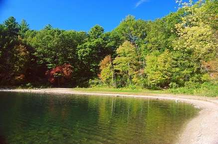 Lake with trees and clear blue sky.