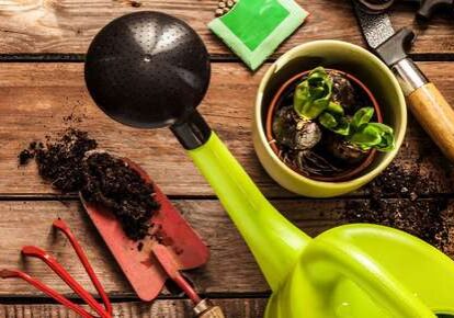 Green watering can and small plant.