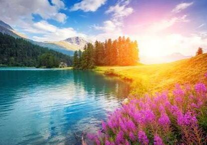 Mountain lake with vibrant wildflowers