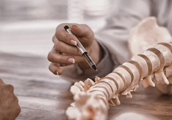 Hand pointing at spinal column model