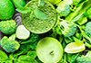 Healthy green food variety