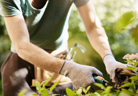 Gardening with shears and gloves outdoors