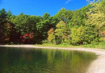 Lake with trees and clear blue sky.