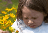 Young child reacting to flowers outdoors