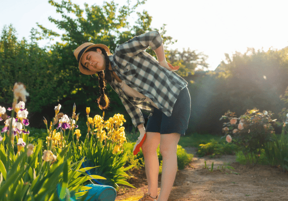 Sunlit garden scene with colorful flowers.